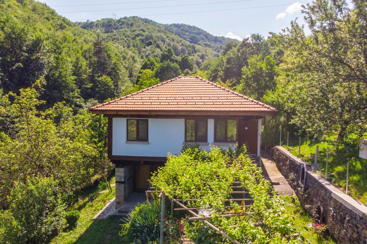 Holiday Home Lyubovo Габрово Экстерьер фото
