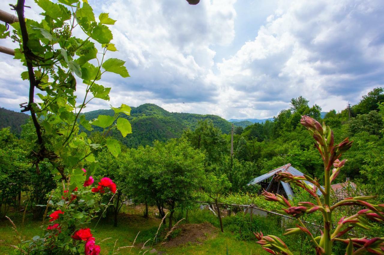 Holiday Home Lyubovo Габрово Экстерьер фото